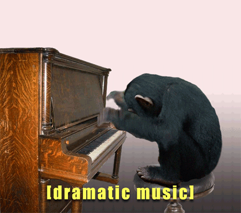 schimp klavier