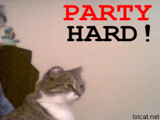 Fumos miese Spelunke party hard cat2