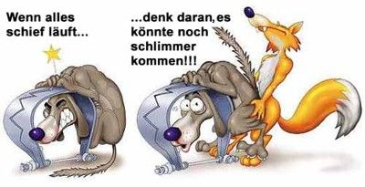 Dummgelaufen