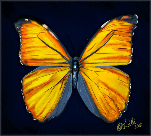 Butterfly-gelb-by-Lili-2012-px-500