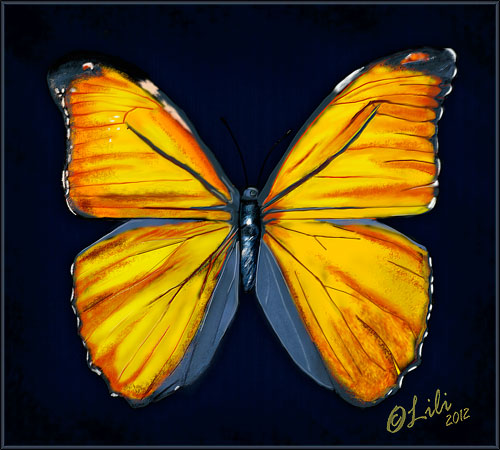 Butterfly-gelb-by-Lili-2012-px-500