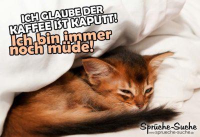 kaffee-kaputt-katze-spruch-400x274