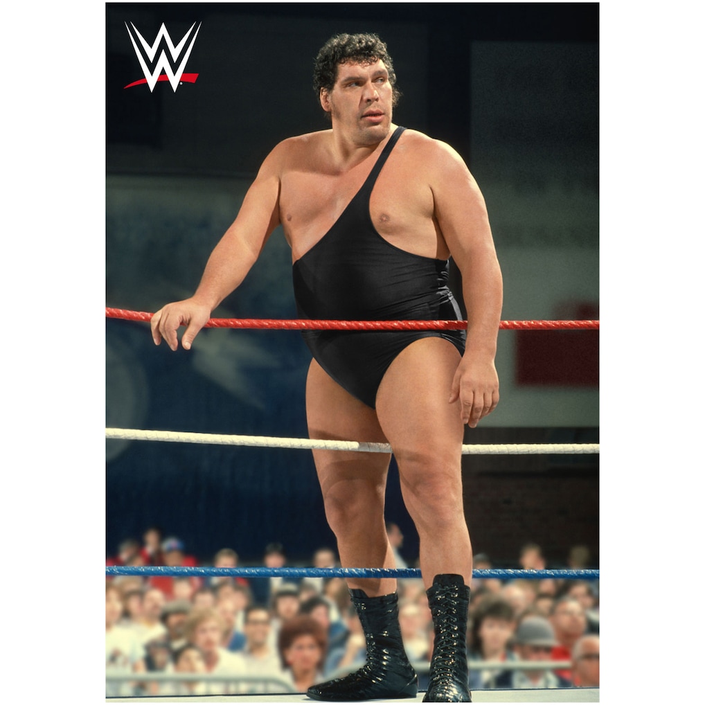 wwe-andre-the-giant-in-ring-poster-unfra