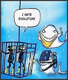 I hate evolution klein