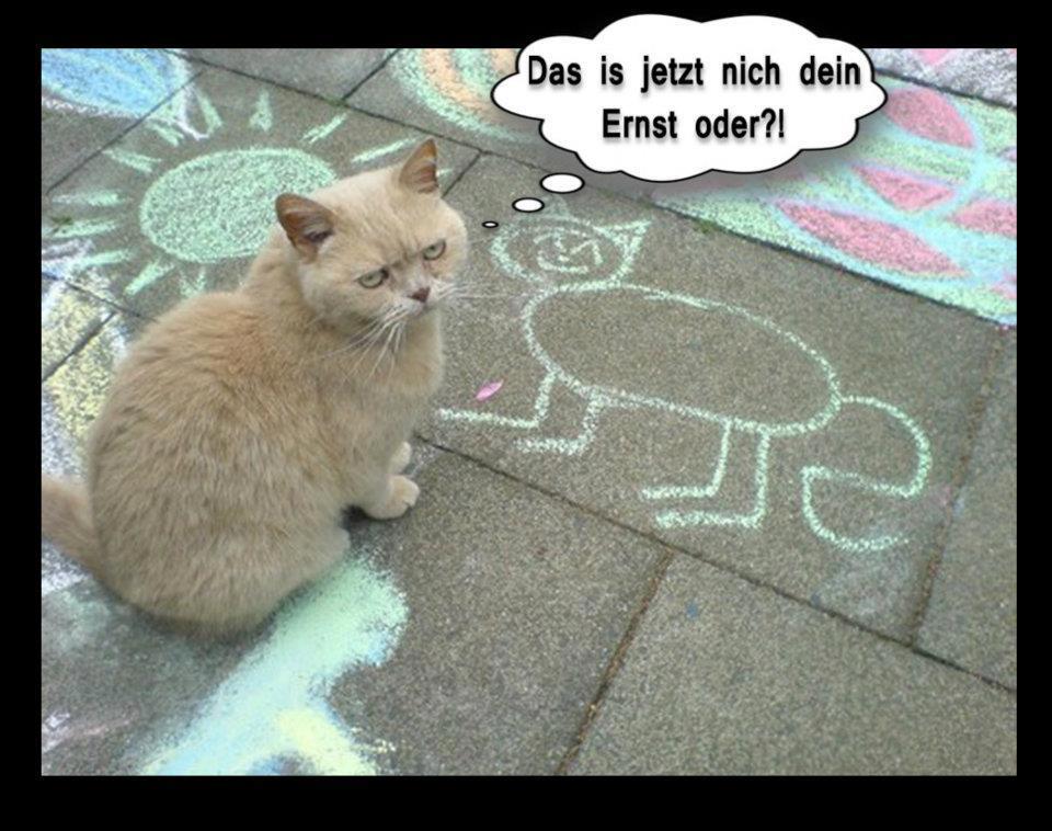 Witzige Bilder - Allmystery