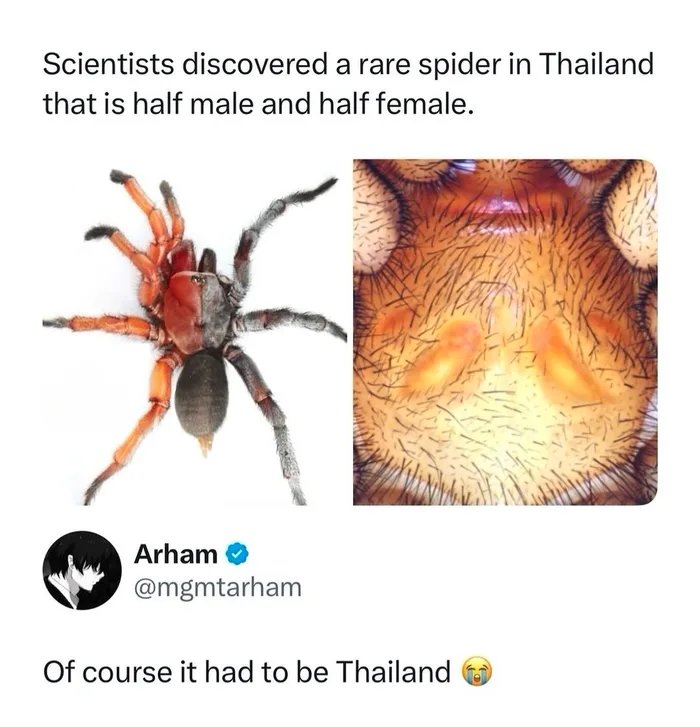 1000031671