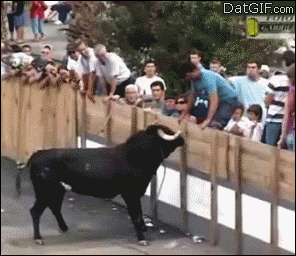 karma bull