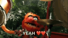 the-muppets-animal