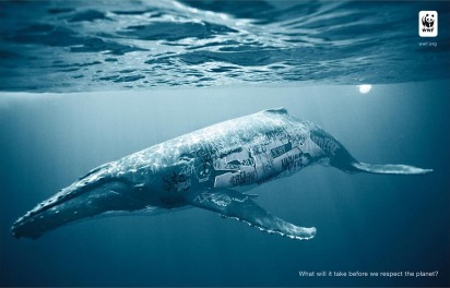 biodiversity-and-biosafety-awareness-wha
