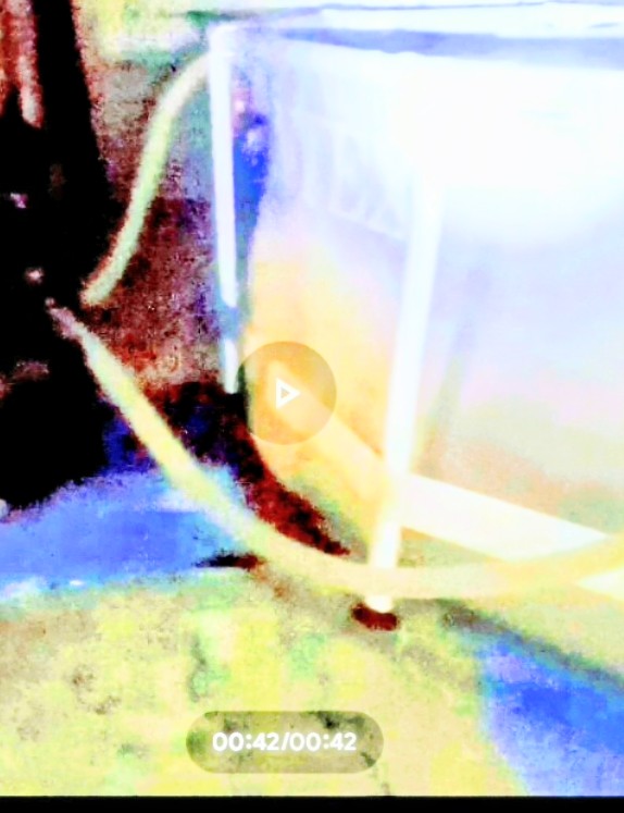 Screenshot 20250917-0829393