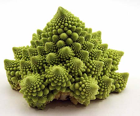 ieYVbT romanesco-cauliflower