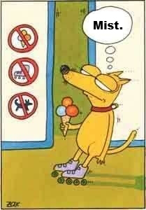 hunde-verboten