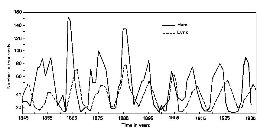 Lynx-Hare cycle