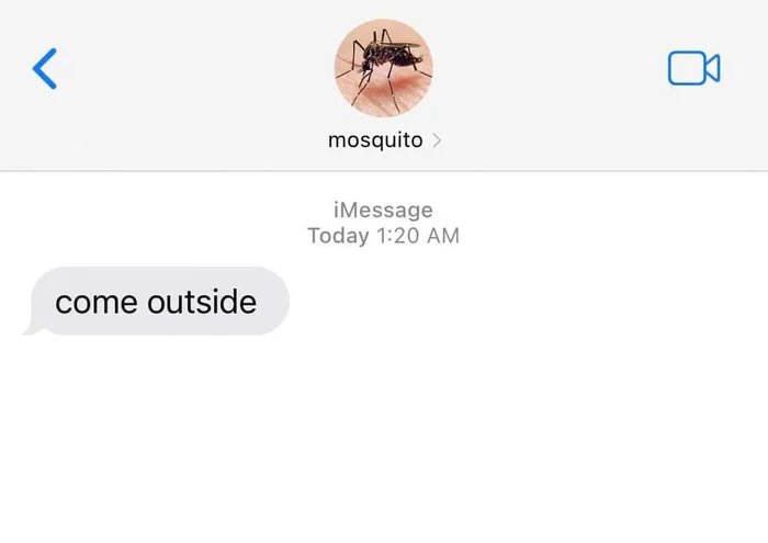 1000003493