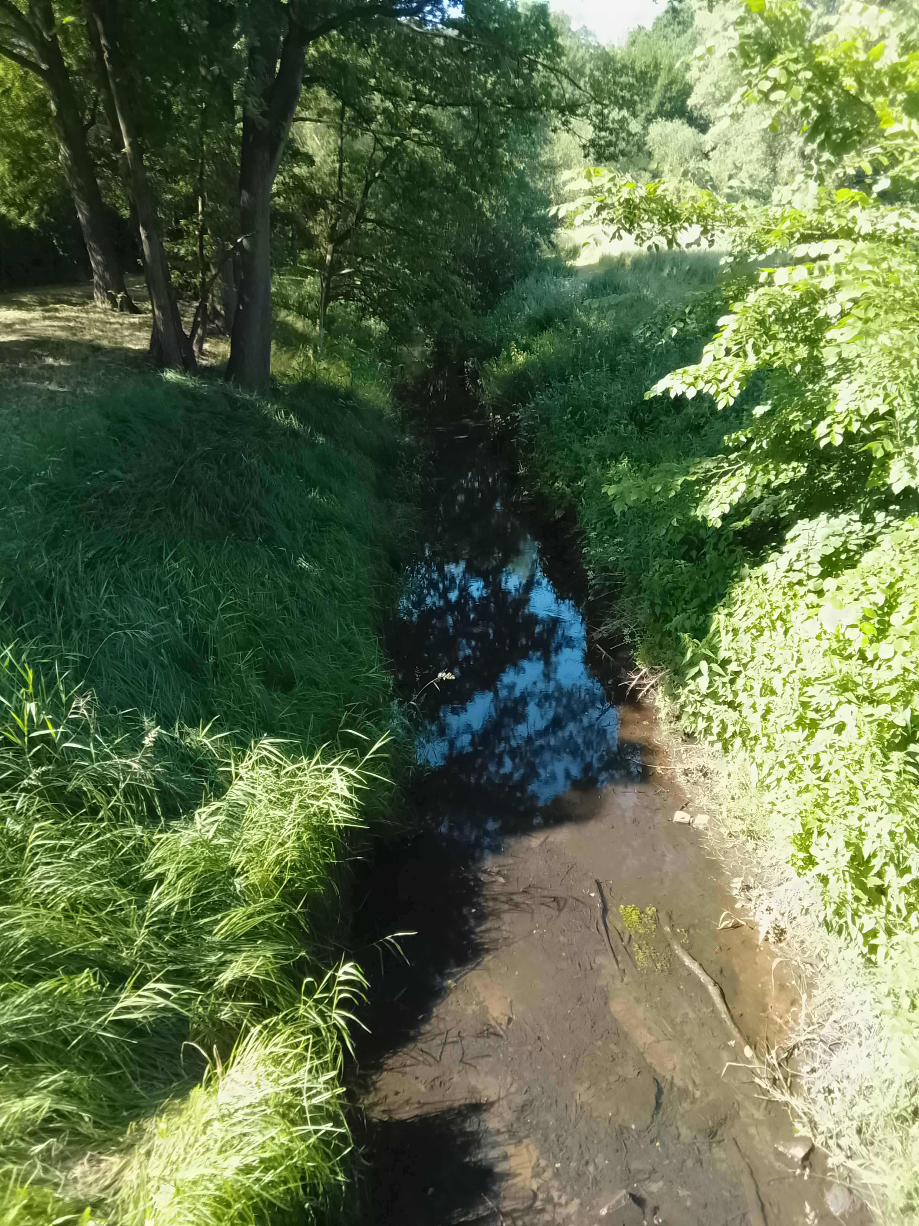 bkj1tsvilvek_IMG_20250612_095051.jpg