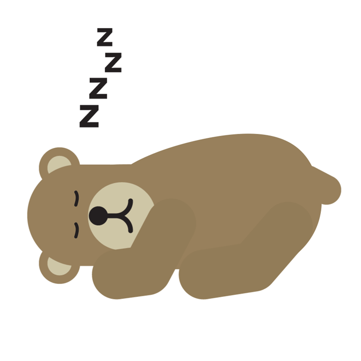 24-bear-zzzzzz