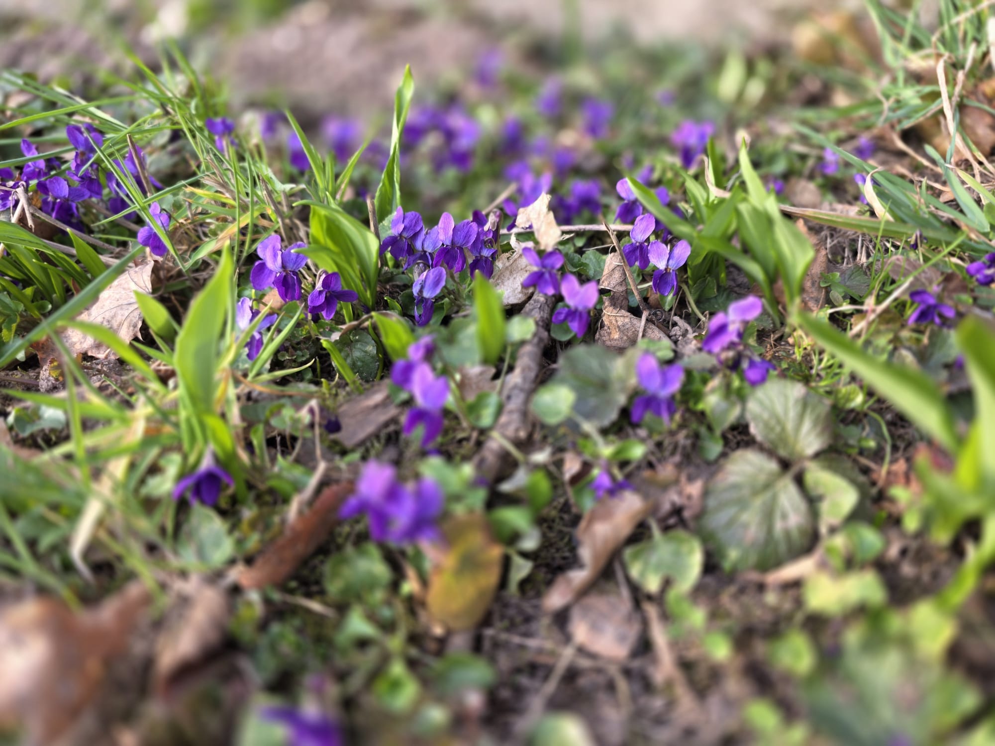 WhatsApp Image 2026-03-08 at 16.21.48 2