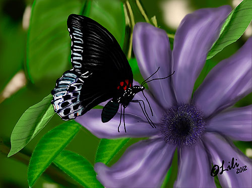 Butterfly-by-Lili-2012-px-500