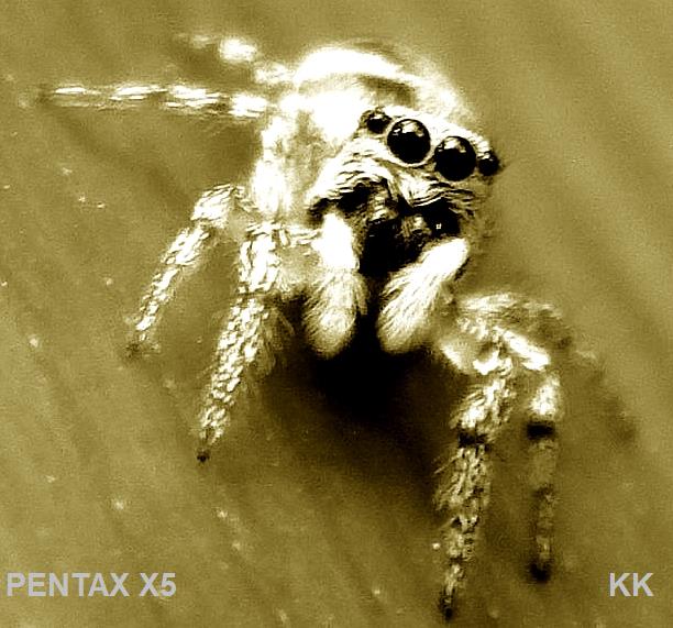  KK 358