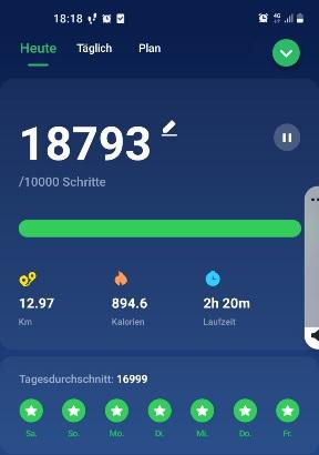 Screenshot 20211231-181807 Pedometer Ste