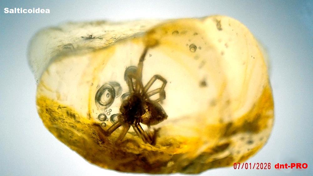 2026 0107 200257 001