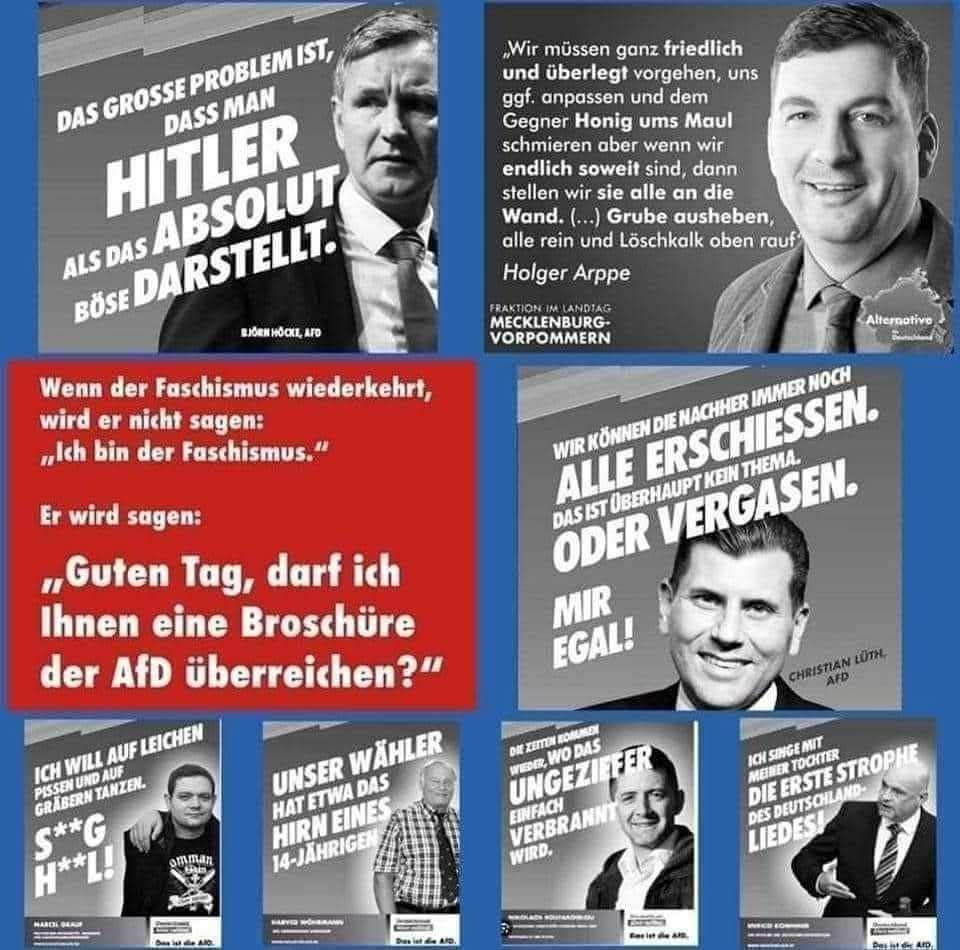 die-partei-der-mitte-v0-b4reobnyuavg1