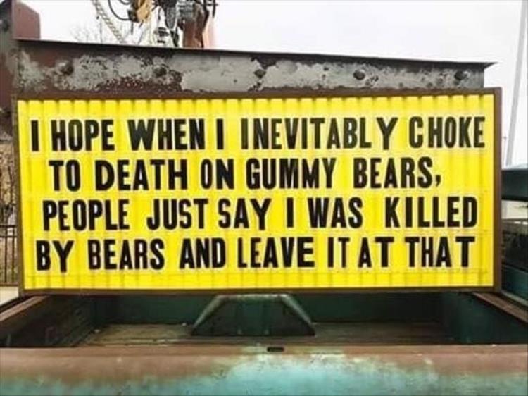 bears death