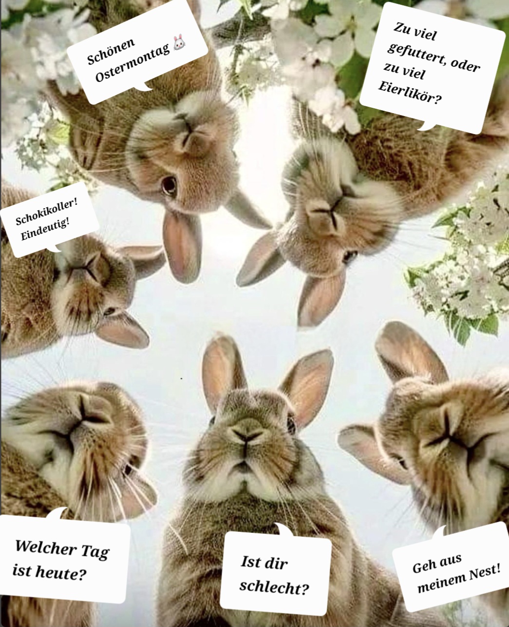 Screenshot 20260406 085216 Allmystery