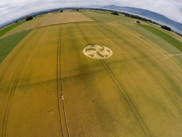 crop circle hand spinner