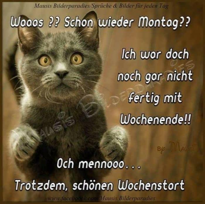 wochenstart-wunsche-bilder-1