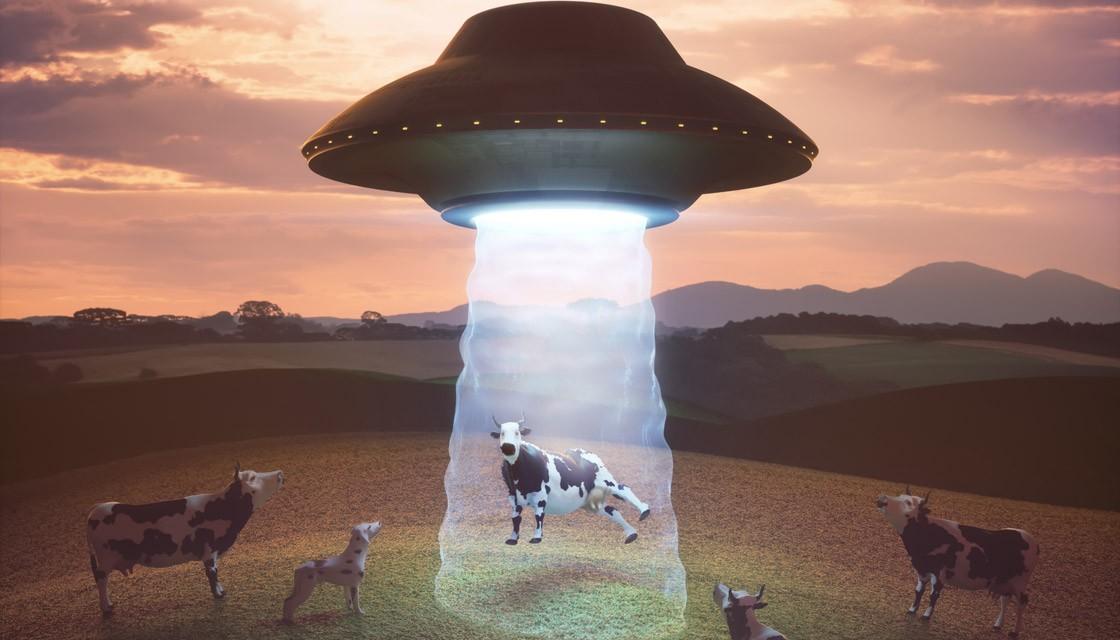 GettyImages-975099086-cows-ufo-aliens-fa