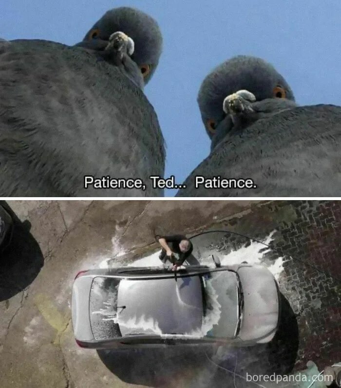 1000031320
