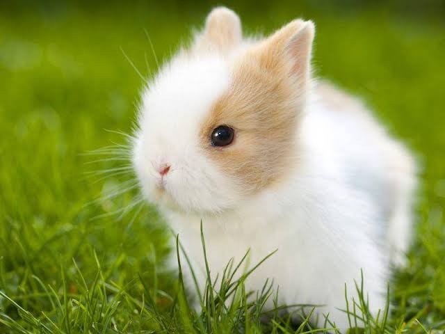 images 18