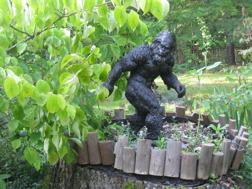 Garten Bigfoot