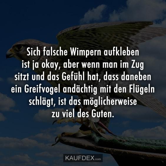 greifvogel-fluegeln-wimpern-lustige-spru