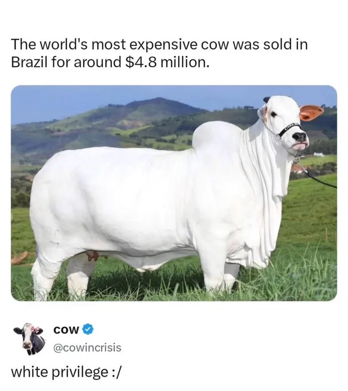 1000032638