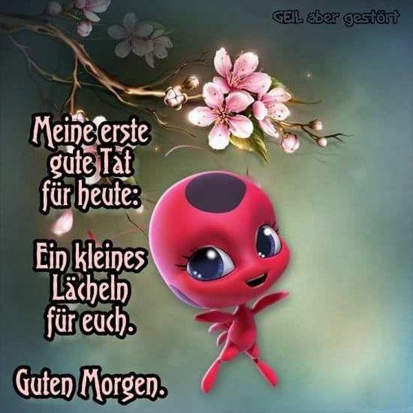 Whatsapp-Bilder-Guten-Morgen-3