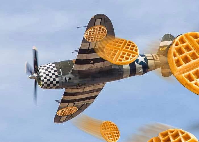 Dropping Waffles for Freedom let the eat