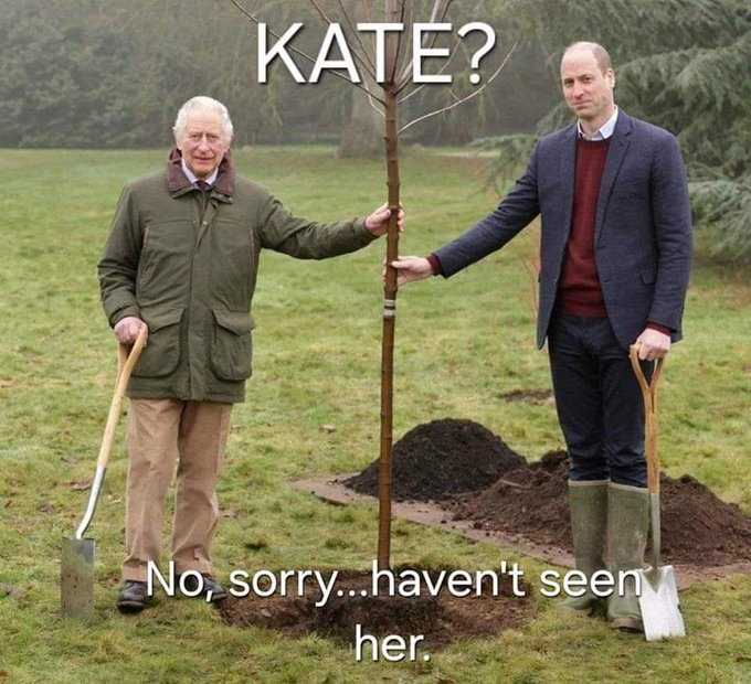 Kate no - Copy - Copy