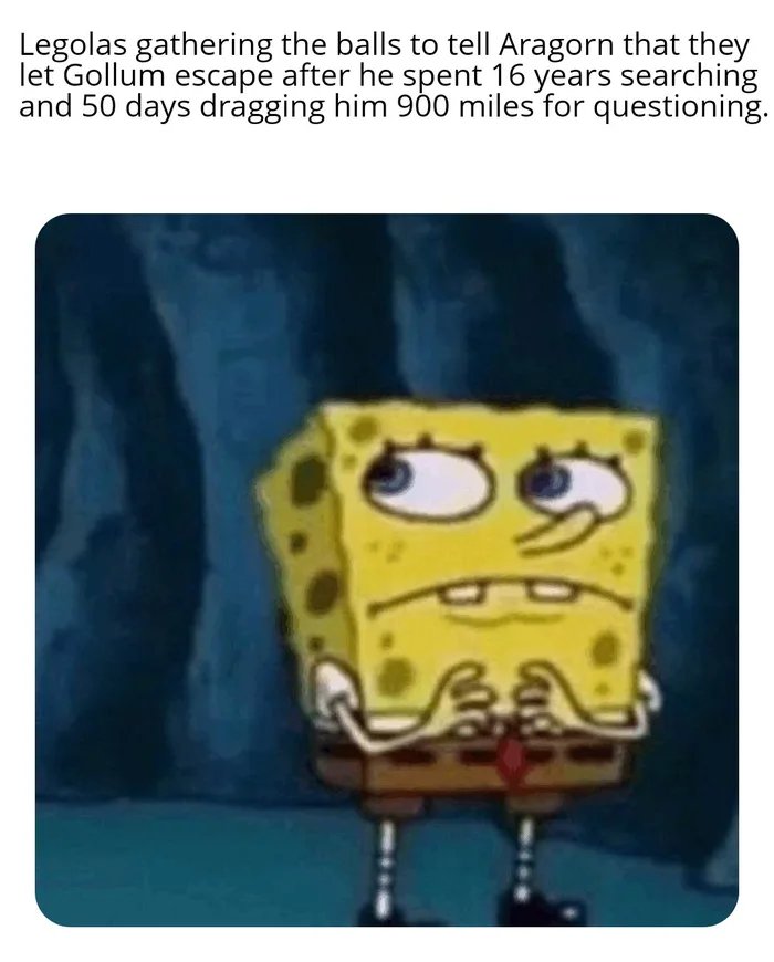 1000031308