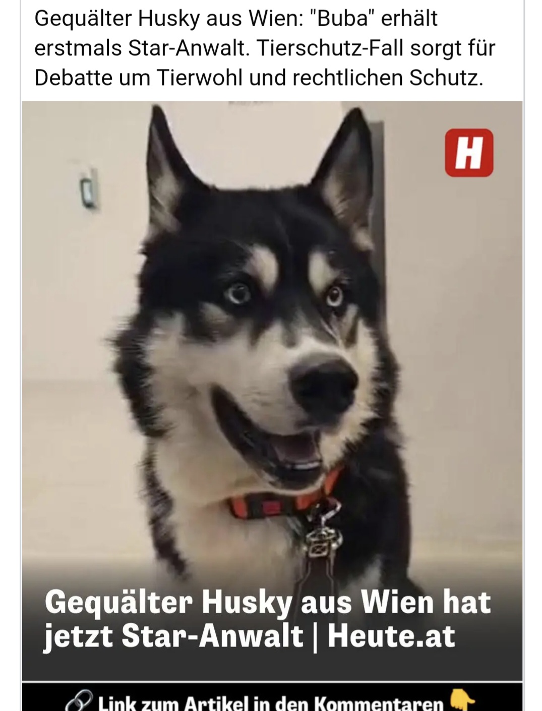 Screenshot 20260211 192618 Chrome