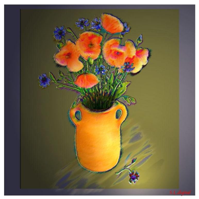 mohn-d