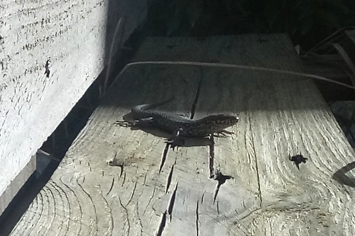 IMG 20260423 172813 070-crop1