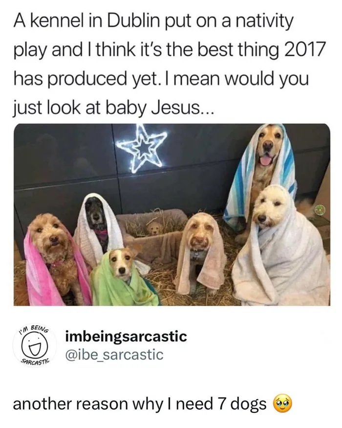 1000030736