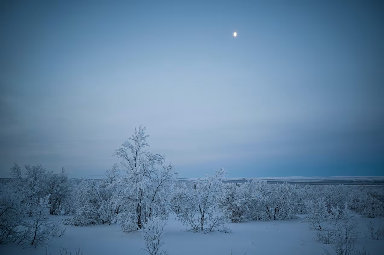 39-15588126925367c803ab