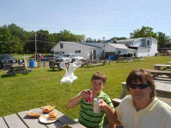 FB IMG 1718967841289