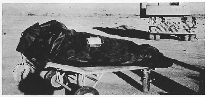 roswell-alien