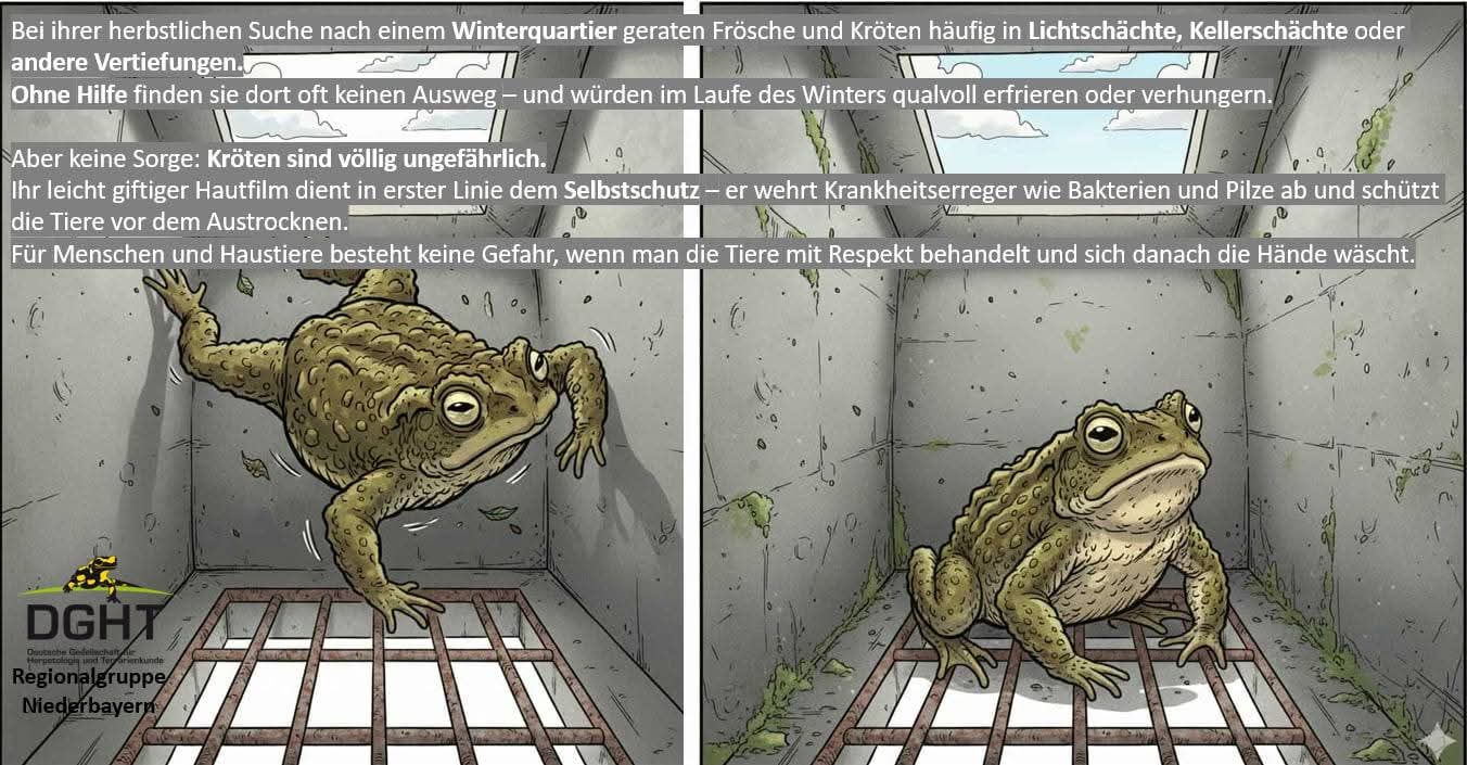 FB IMG 1761848340567