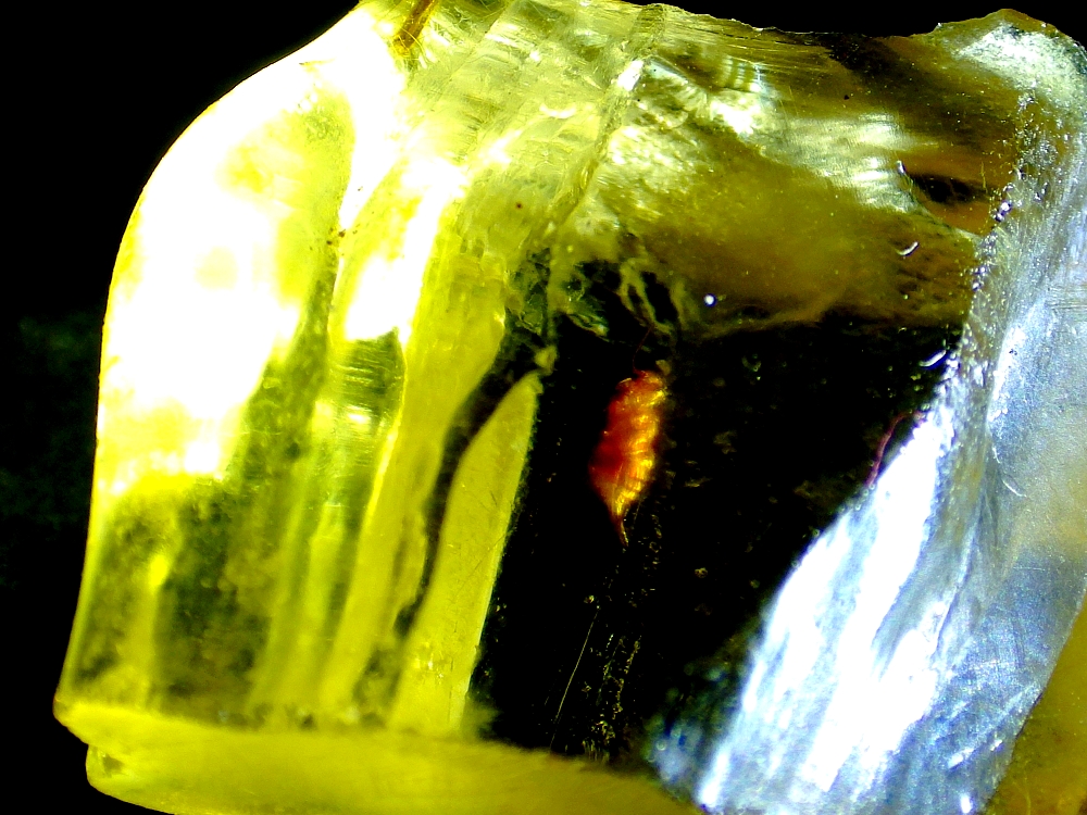 IMGP0980