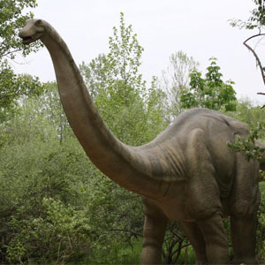 brontosaurus